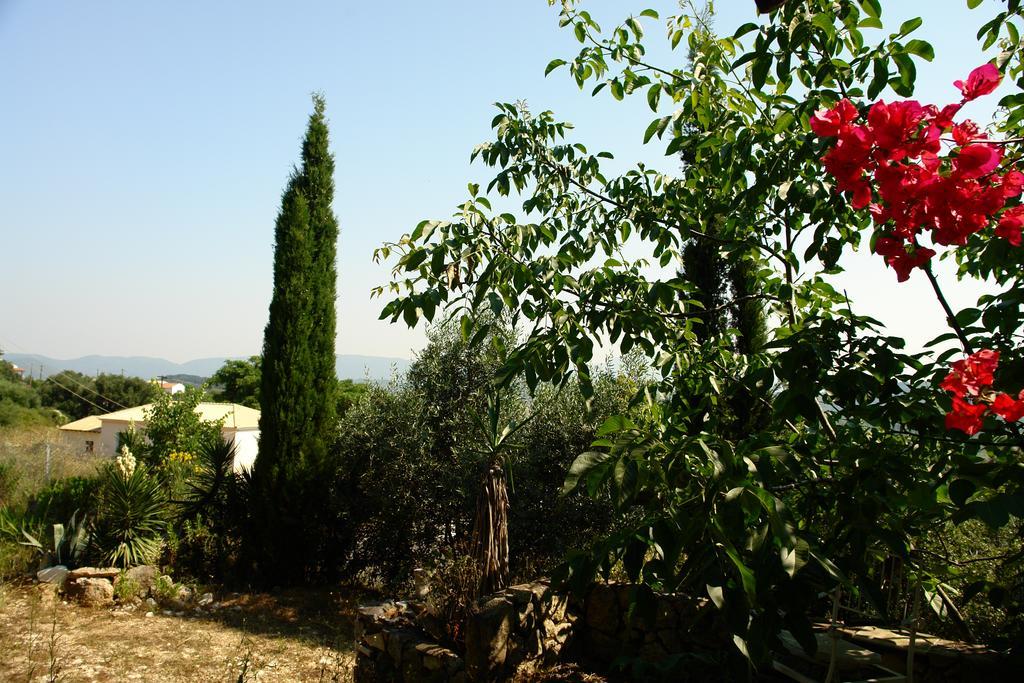 Musician'S Round House & Castello Villa Vatos Luaran gambar